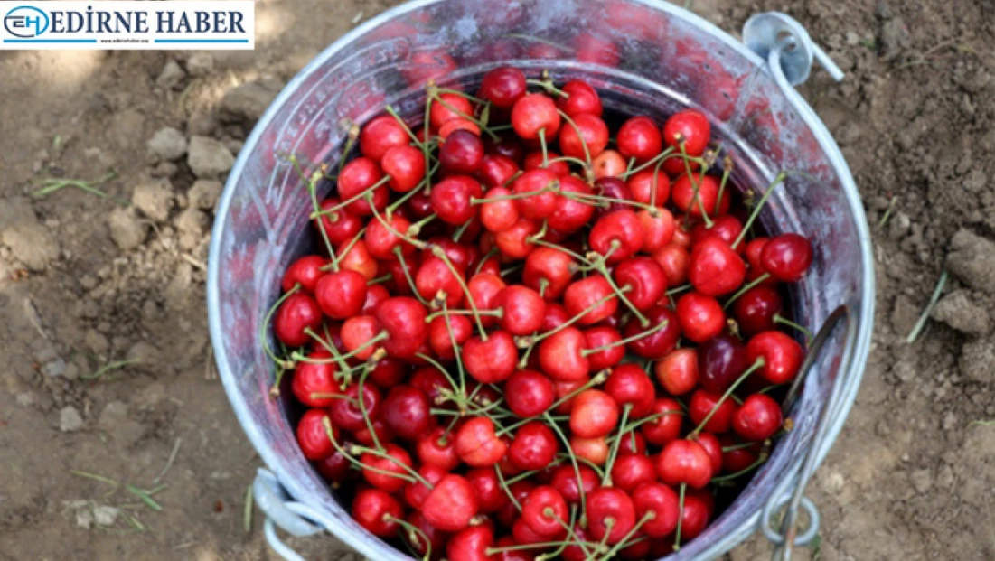 Edirne’nin gururu Çeribaşı Kirazı'na coğrafi işaret tescili