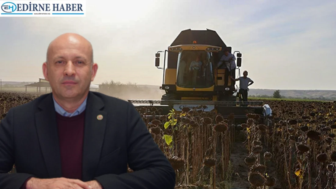 Edirne tarımı kuraklıkla mücadele ediyor