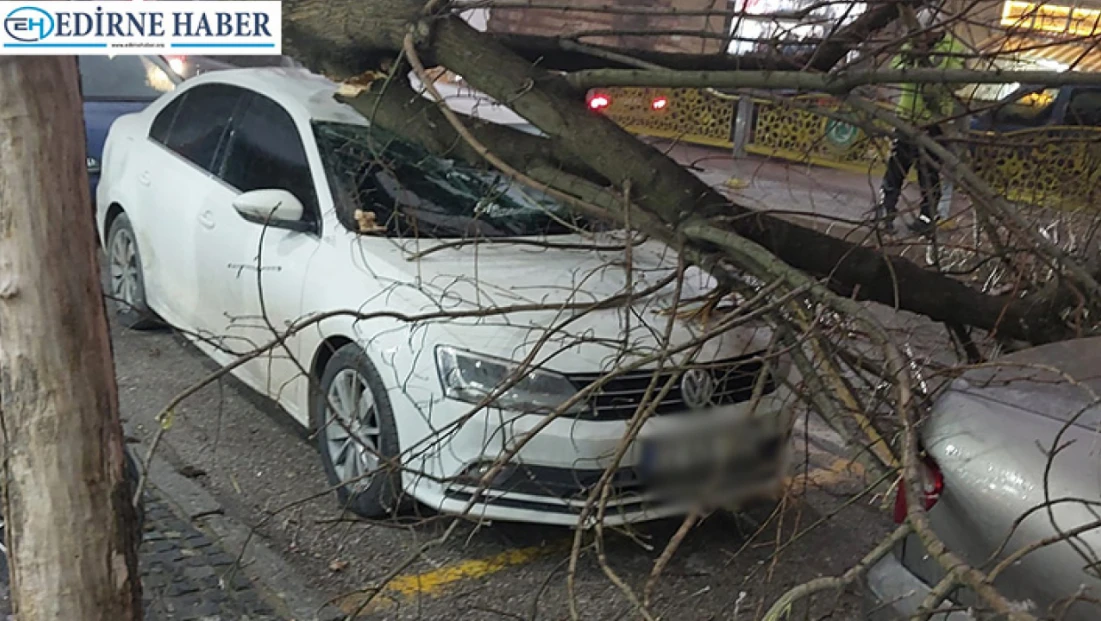 Fırtına yıktı geçti, facianın eşiğinden dönüldü