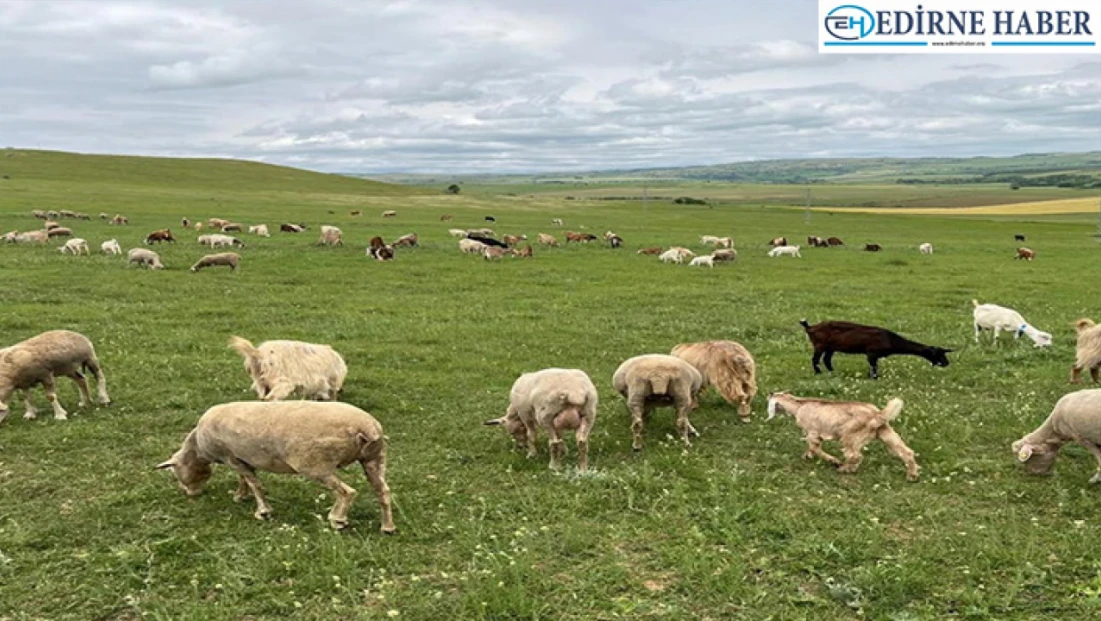 “Merada en büyük problemimiz su, tankerle taşıyoruz”