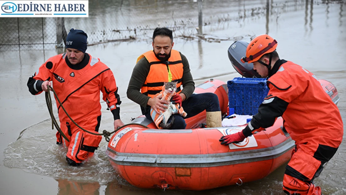 Meriç Nehri’nde mahsur kalan hayvanlar kurtarıldı