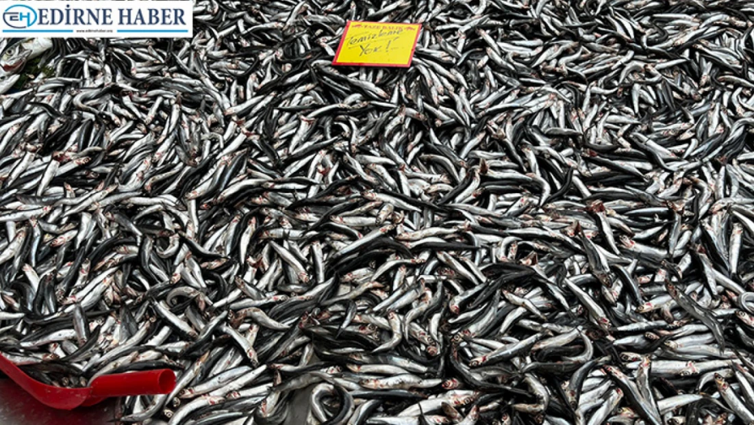 “Palamut olmayınca hamsi tezgâhlara hakim oldu”