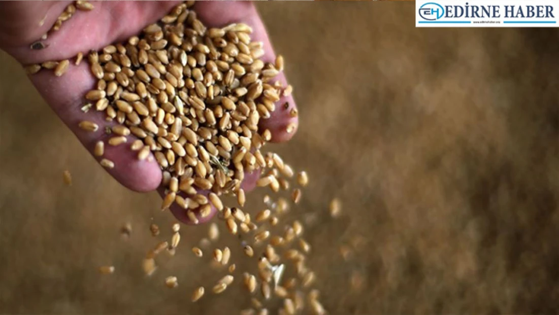 Tarım sayım seferberliğinde veri derleme süreci