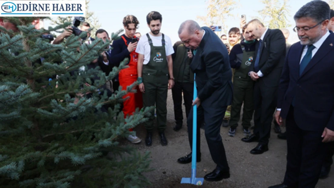 Türkiye’de yeşil seferberlik
