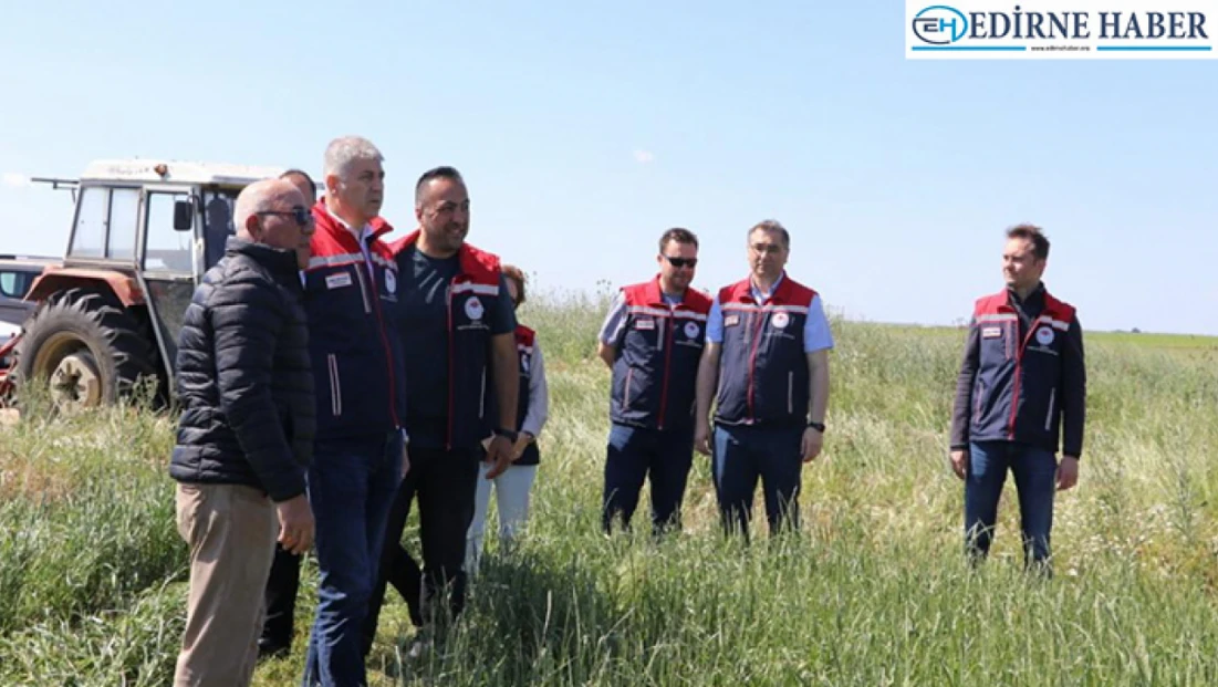 Yağcılı Köyü’nde suni merada ilk biçim