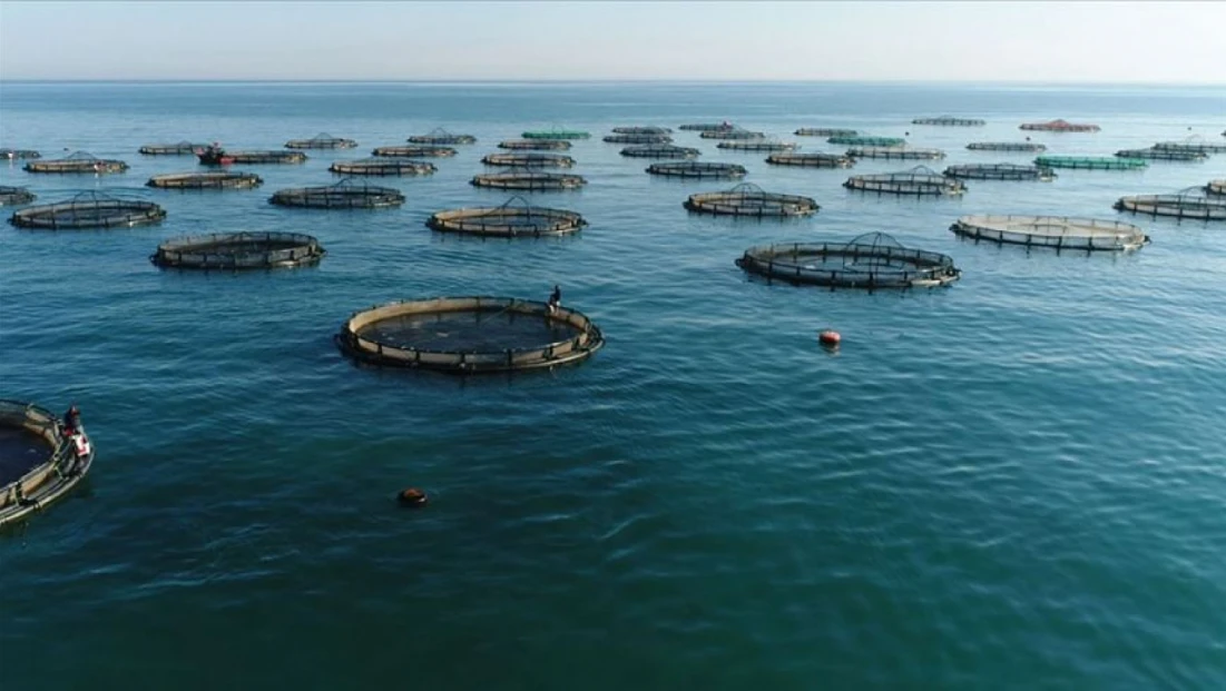 Yumaklı: “Balık üretiminde Cumhuriyet tarihinin rekorunu kırdık”