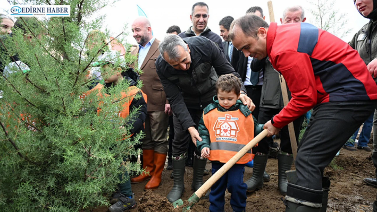 Fidanlar toprakla buluşturuldu
