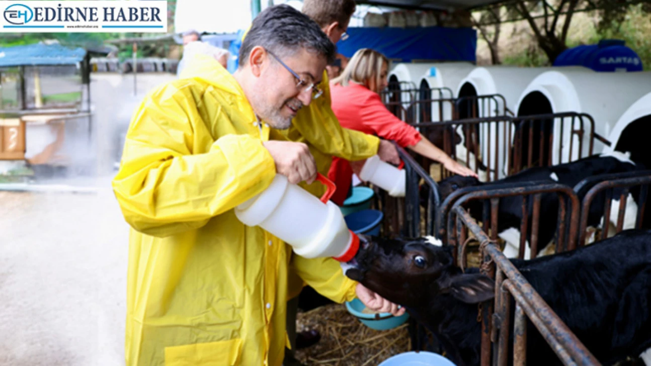 Küçükbaş hayvan sayısı 58 milyonu aştı