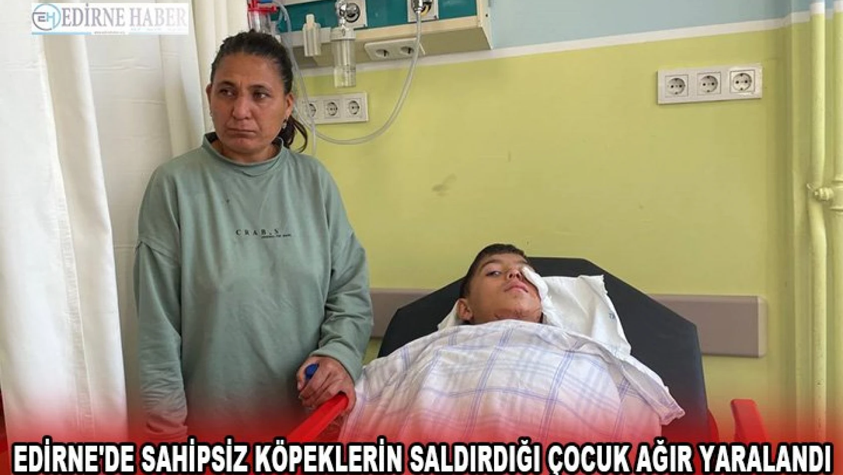 Edirne'de sahipsiz köpeklerin saldırdığı çocuk ağır yaralandı