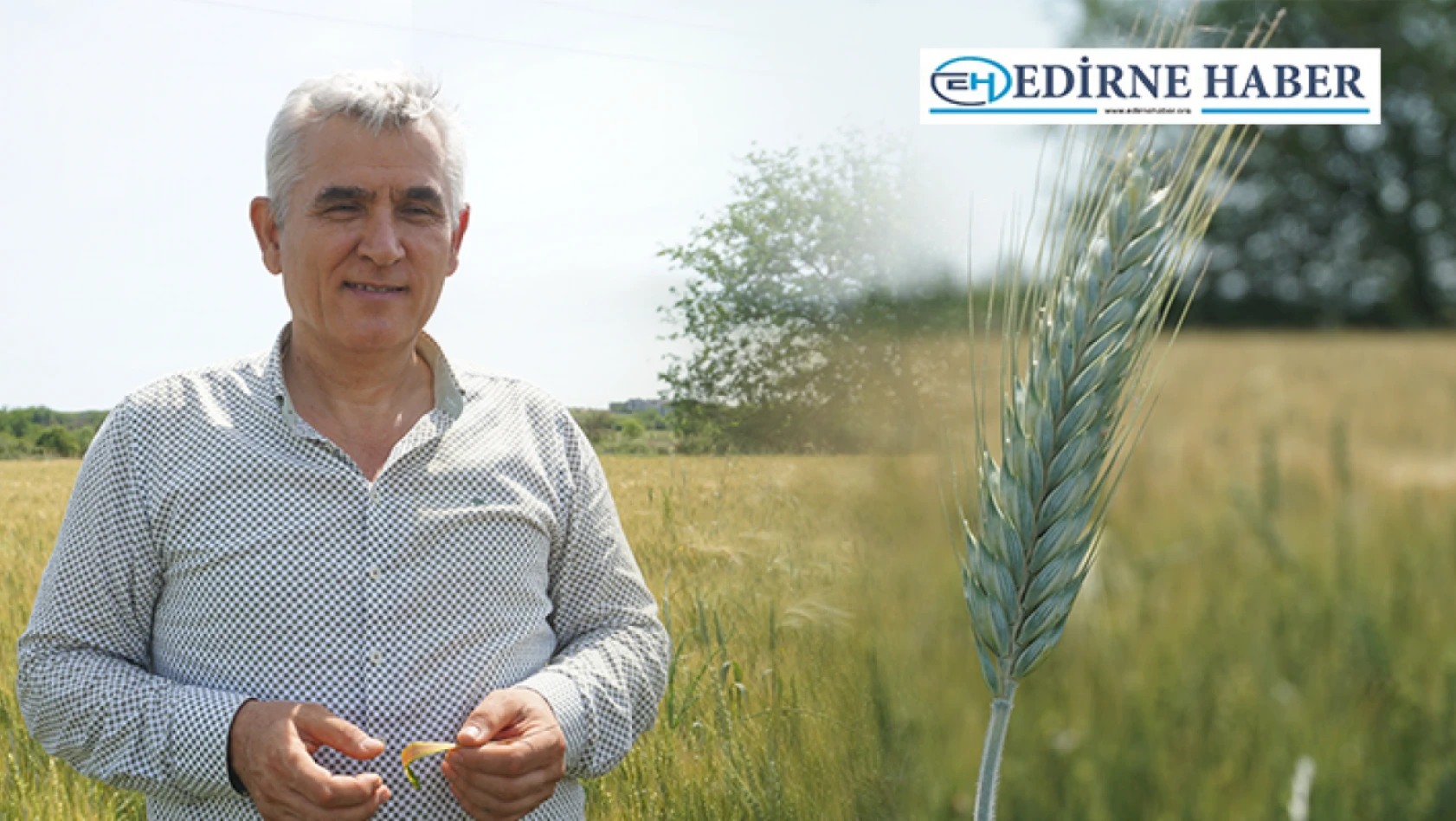 Ata tohumları Balkan Tohumculuk Birliği ile korunacak