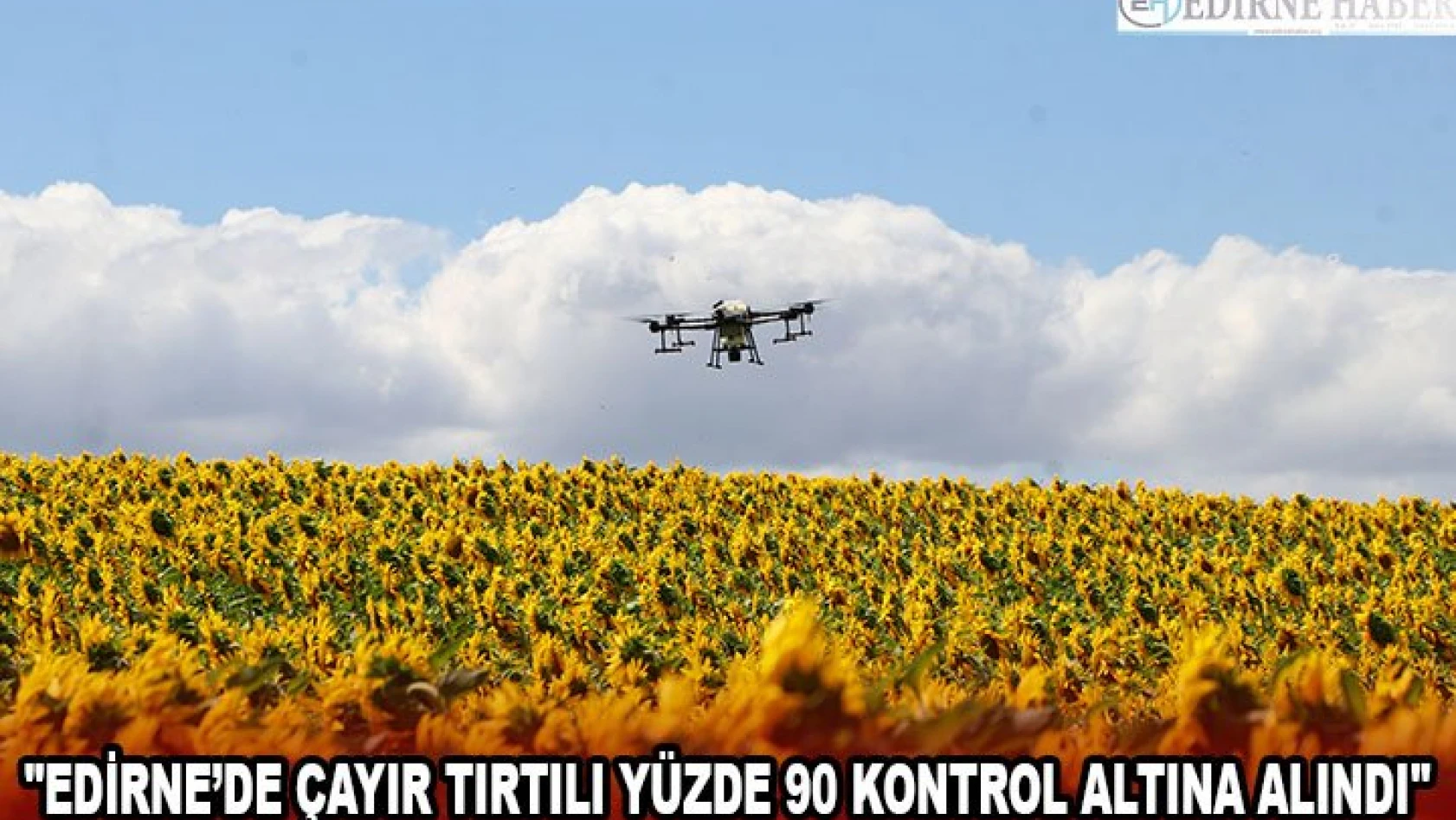 'Edirne'de çayır tırtılı yüzde 90 kontrol altına alındı'
