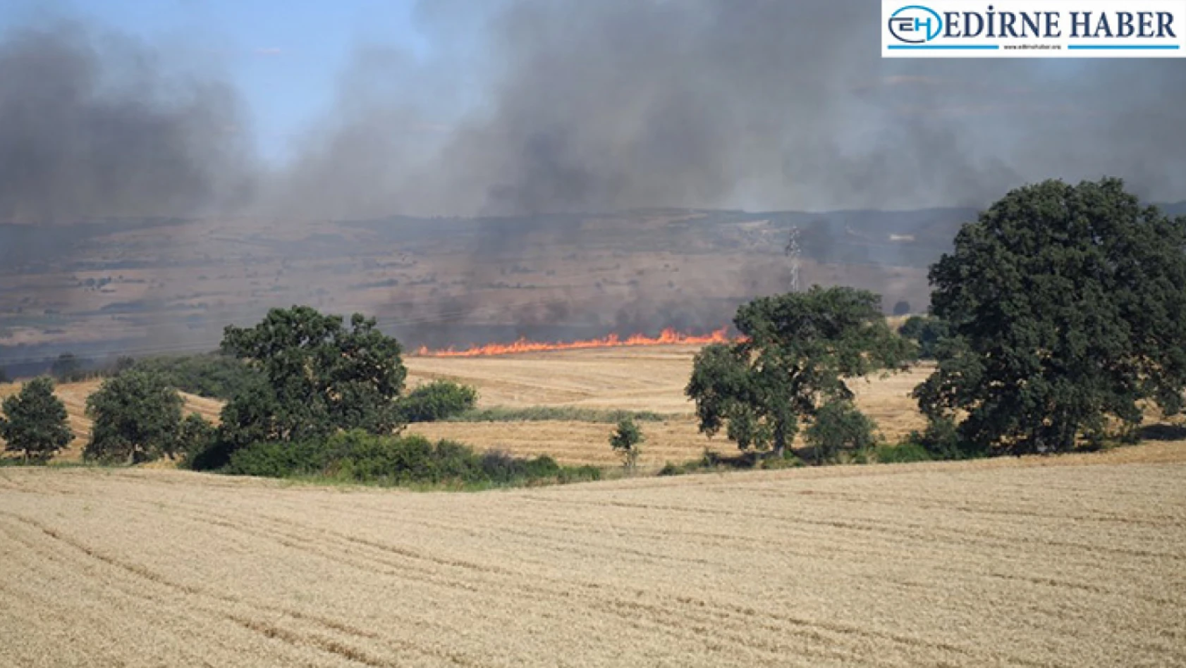 Çıkan yangında 1200 dönüm buğday ekili alan zarar gördü