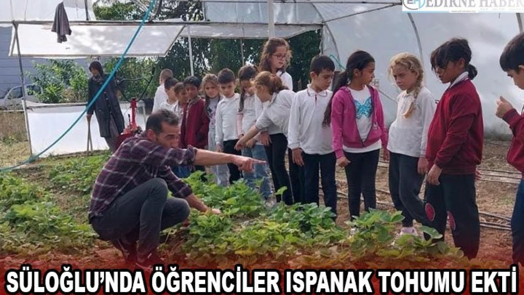 Süloğlu'nda öğrenciler ıspanak tohumu ekti