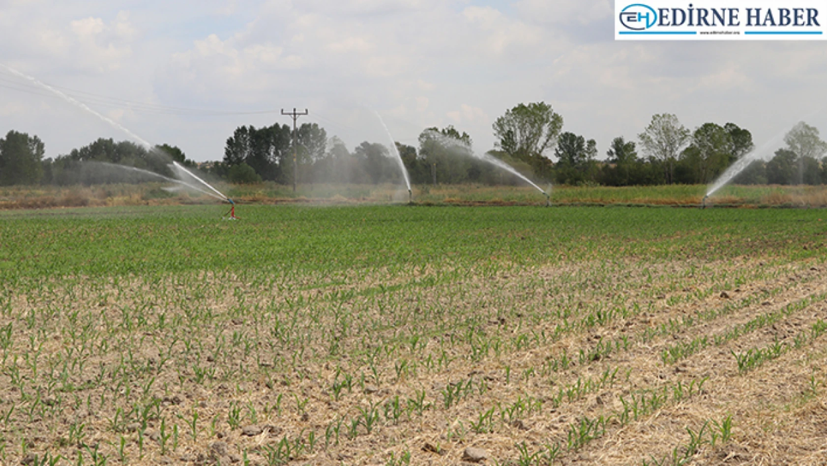 Edirne'de 22 bin 500 dekarlık tarım arazisi kapalı sistemle suya kavuşturuldu 