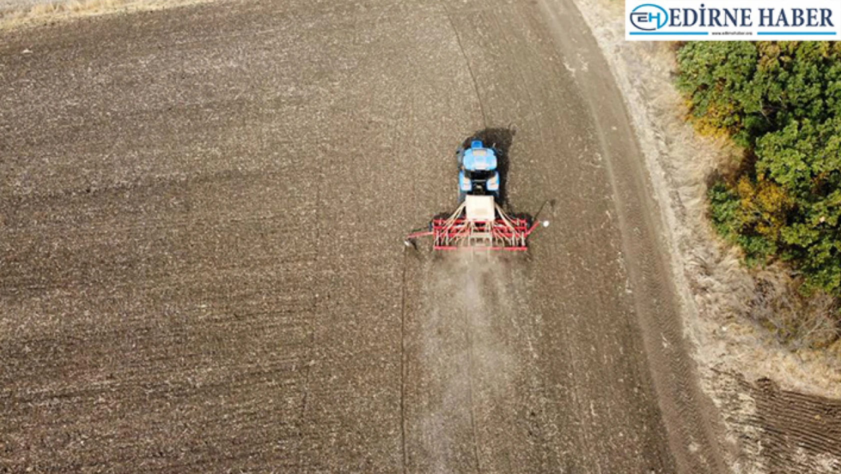 Edirne'de kuraklık tehlikesine rağmen çiftçiler buğday ekimini sürdürüyor