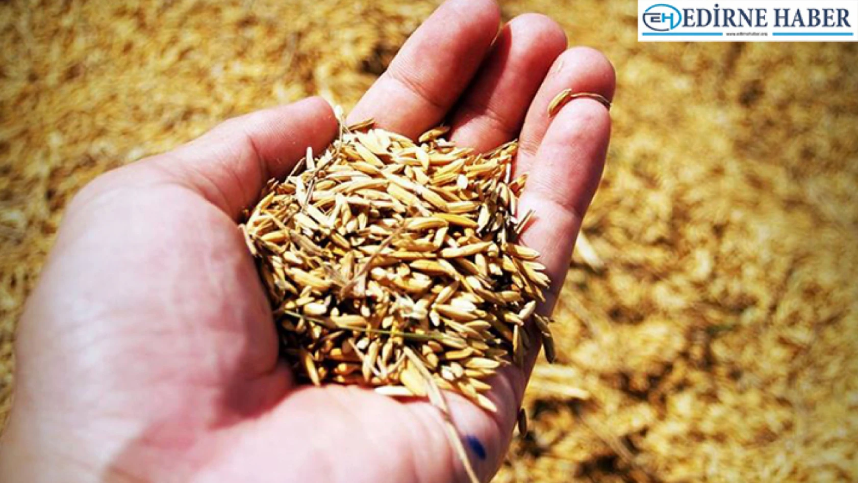 Edirne'de üreticilere yüzde 75 hibeli kuru fasulye tohumu dağıtılacak