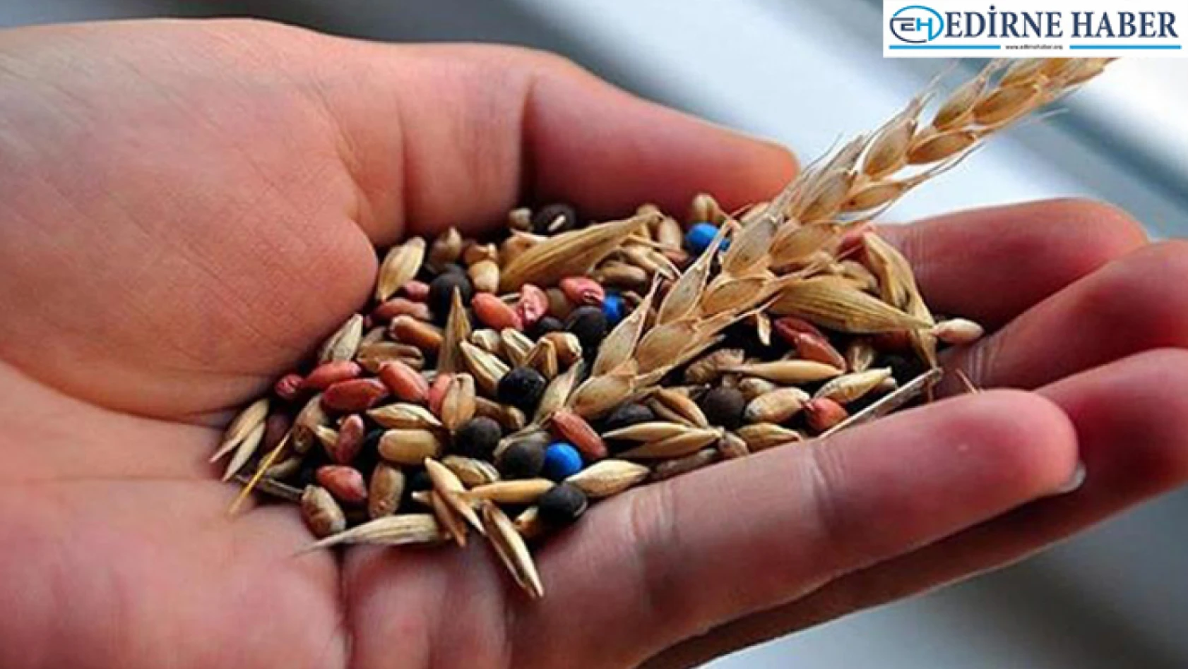 Edirne'de üreticilere yüzde 75 hibeli yem bitkisi tohumu dağıtılacak