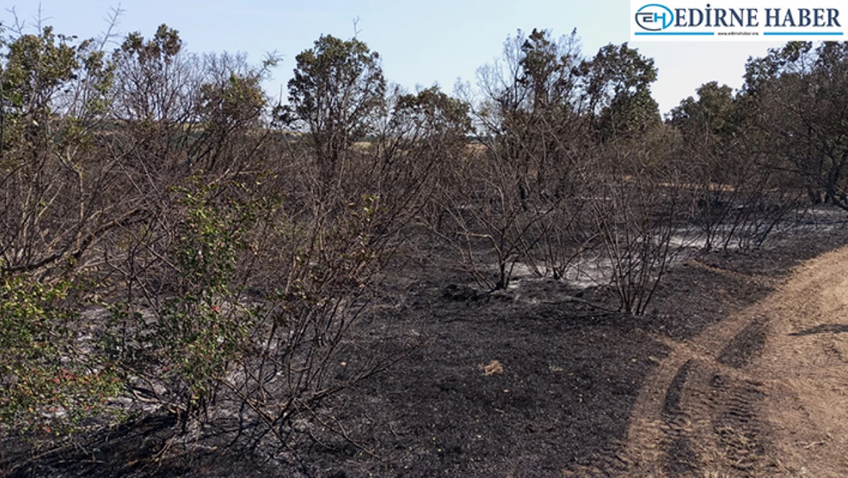 Lalapaşa'da ormanlık alanda çıkan yangın söndürüldü