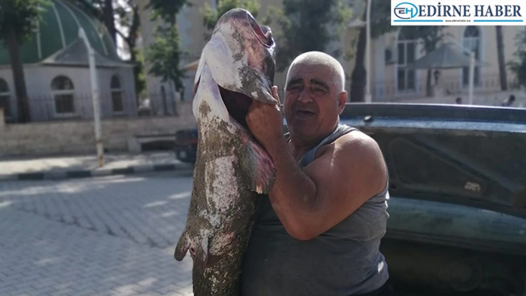 Meriç Nehri'nde yaklaşık 2 metrelik yayın balığı yakalandı