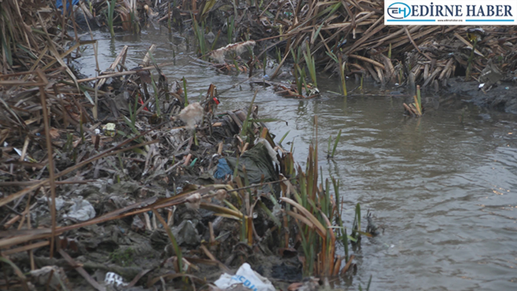 Tunca Nehri bu kez kanalizasyon atıklarıyla kirletiliyor