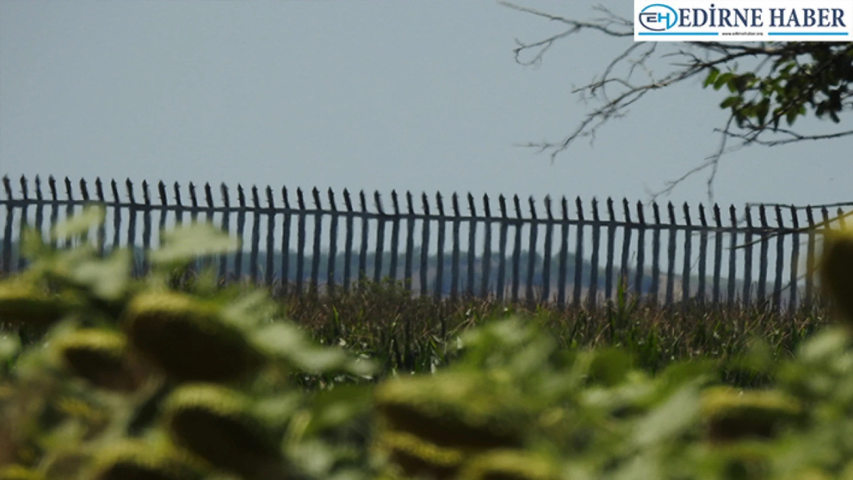 Türkiye-Yunanistan sınırındaki çelik bariyer 180 kilometreye çıkartılıyor
