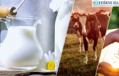 3 milyar 91 milyon liralık destek ödemeleri yatırılmaya başladı