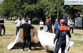 AFAD'dan kurumlara afet eğitimi seferberliği