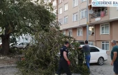 Ağaç dalları park halindeki otomobilin üzerine devrildi