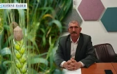 Ekili arazilerde zararlı böcekler tespit edildi