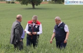 Tarım arazilerinde hasar tespit çalışmaları sürüyor