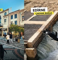 Belgin İba'dan Edirne tanıtımına katkı sağlayacak video