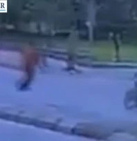 Dede ve torunu yaralandı