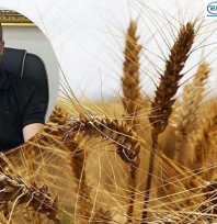 Durmaz 'Sıcak geçen kış buğdayın gelişimini öne çekti'