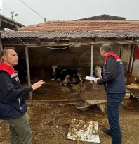 Edirne'de 2025 yılı hayvancılık işletme denetimleri tamamlandı