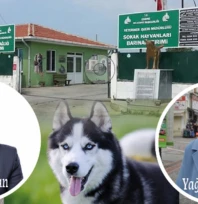 Edirne'de barınak isyanı: 'Hayvanlar elinizde ölüyor!'