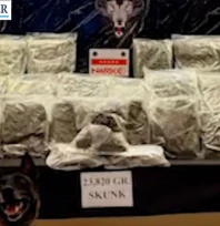 Edirne'de bir TIR'da 23 Kilo 820 Gram uyuşturucu ele geçirildi
