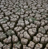 Edirne'de kuraklık riski halkı tedirgin ediyor