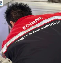 Enez'de gıda güvenliği için ekipler harekete geçti