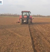 Havsa'da Yerli ve Milli tohumlarla hububat ekimi