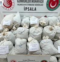 İpsala Gümrük Kapısı'nda narkotik darbesi