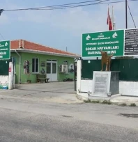 Köpeği iple sürükleyen şüpheliye adli kontrol