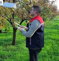 Meyve bahçelerinde zararlı yoğunluğunu yakından izleniyor