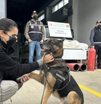 Pazarkule Sınır Kapısı'nda otomobilde 19 kilo 692 gram esrar ele geçirildi