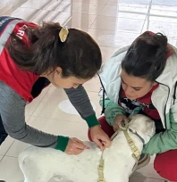 Sahipli hayvanlara çip ve kuduz aşısı uygulaması sürüyor