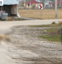 Sahipsiz köpeği sürüklediği iddia edilen belediye personeli gözaltına alındı