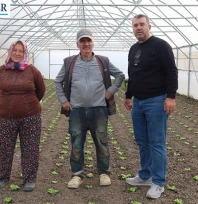 Seracılık hamlesi meyvelerini vermeye başladı