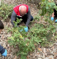 Tarım il müdürlüğü ekiplerinden verim kaybına karşı erken önlem