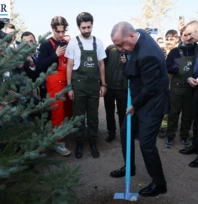 Türkiye'de yeşil seferberlik