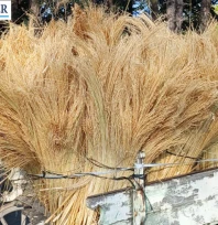 Yeni mahsul süpürge teli Borsa'da satıldı