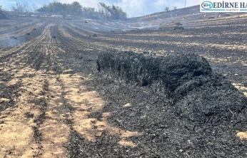 Alevler 150 dekar araziyi küle çevirdi